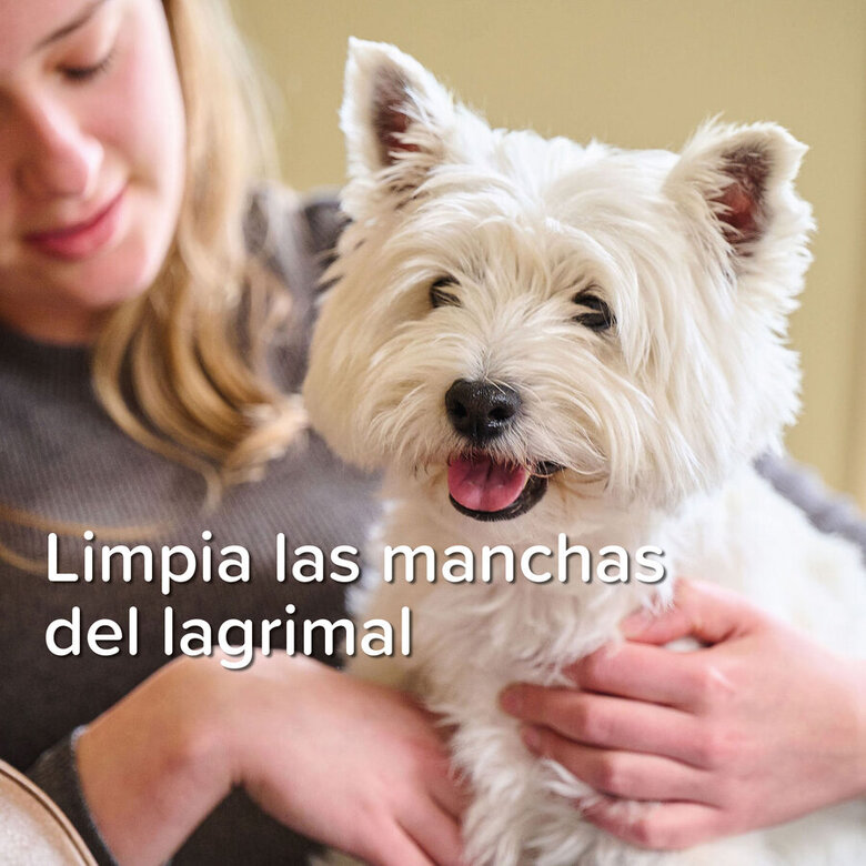 Beaphar Limpador de Lacrimal para cães e gatos, , large image number null